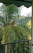 Туры в отель Topanga Canyon Inn B&B