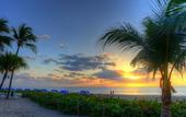 Туры в отель Beachcomber Resort & Club