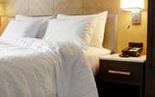 Туры в отель Hampton Inn Brooklyn/Downtown