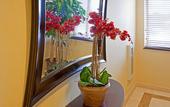 Туры в отель Holiday Inn Express Maspeth by IHG