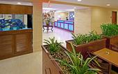 Туры в отель Holiday Inn Express Maspeth by IHG
