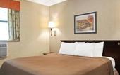 Туры в отель Cabana Hotel Yankee Stadium