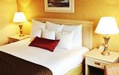 Туры в отель Coast Gateway Hotel