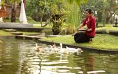 Туры в отель Nusa Dua Beach Hotel & Spa