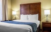 Туры в отель Spark by Hilton Glendale Phoenix North