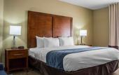Туры в отель Spark by Hilton Glendale Phoenix North
