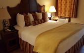 Туры в отель Los Arboles Hotel