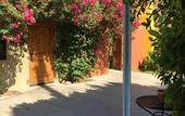 Туры в отель Los Arboles Hotel