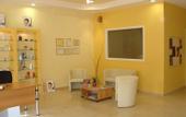 Туры в отель Oasis Hotel