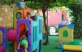 Туры в отель Oasis Hotel