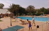 Туры в отель Tulip Inn Oasis