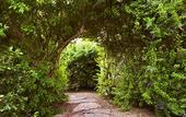 Туры в отель The Colony Palms Hotel and Bungalows - Adults Only