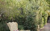 Туры в отель The Colony Palms Hotel and Bungalows - Adults Only