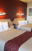 Туры в отель Rodeway Inn & Suites Rancho Mirage - Palm Desert Area