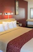 Туры в отель Rodeway Inn & Suites Rancho Mirage - Palm Desert Area