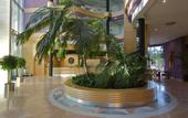 Туры в отель Albir Playa Hotel & Spa