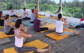 Туры в отель The Oasis Ayurveda Beach Resort