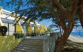 Туры в отель Oasis Atlantico Praiamar Hotel