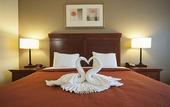 Туры в отель Seffner Inn and Suites