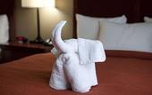 Туры в отель Seffner Inn and Suites