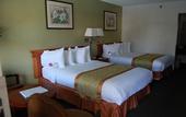 Туры в отель Ramada by Wyndham Temple Terrace/Tampa North