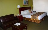 Туры в отель Ramada by Wyndham Temple Terrace/Tampa North