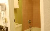Туры в отель Ramada by Wyndham Temple Terrace/Tampa North