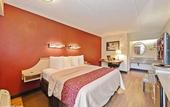 Туры в отель Red Roof Inn Tampa Fairgrounds – Casino