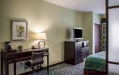 Туры в отель Hampton Inn by Hilton Tampa Fairgrounds Casino