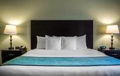 Туры в отель Hampton Inn by Hilton Tampa Fairgrounds Casino