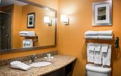 Туры в отель Hampton Inn by Hilton Tampa Fairgrounds Casino