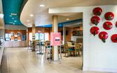 Туры в отель Hampton Inn by Hilton Tampa Fairgrounds Casino
