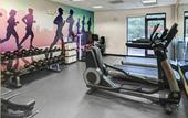 Туры в отель Hyatt Place Busch Gardens