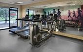 Туры в отель Hyatt Place Busch Gardens