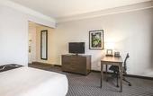 Туры в отель La Quinta Inn & Suites by Wyndham Tampa Brandon Regency Park