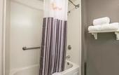 Туры в отель La Quinta Inn & Suites by Wyndham Tampa Brandon Regency Park