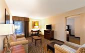 Туры в отель Holiday Inn Express Tampa-Brandon by IHG