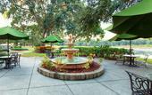 Туры в отель Holiday Inn Express Tampa-Brandon by IHG