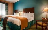 Туры в отель Best Western Wesley Chapel