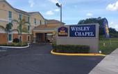 Туры в отель Best Western Wesley Chapel
