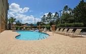 Туры в отель Holiday Inn Express Tampa N I-75 - University Area by IHG