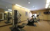 Туры в отель Holiday Inn Express Tampa N I-75 - University Area by IHG