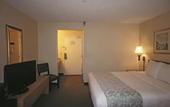 Туры в отель La Quinta Inn & Suites by Wyndham Tampa Fairgrounds - Casino