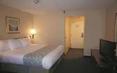 Туры в отель La Quinta Inn & Suites by Wyndham Tampa Fairgrounds - Casino