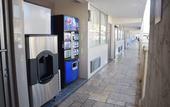 Туры в отель Quality Inn and Conference Center Tampa-Brandon