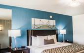 Туры в отель Quality Inn and Conference Center Tampa-Brandon