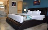 Туры в отель Quality Inn and Conference Center Tampa-Brandon