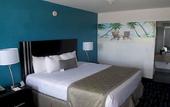 Туры в отель Quality Inn and Conference Center Tampa-Brandon
