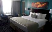Туры в отель Quality Inn and Conference Center Tampa-Brandon