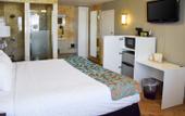 Туры в отель Quality Inn and Conference Center Tampa-Brandon